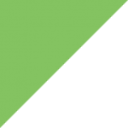 DGII logo