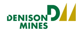 DNN logo