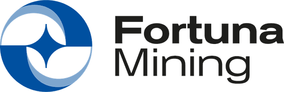 FSM logo