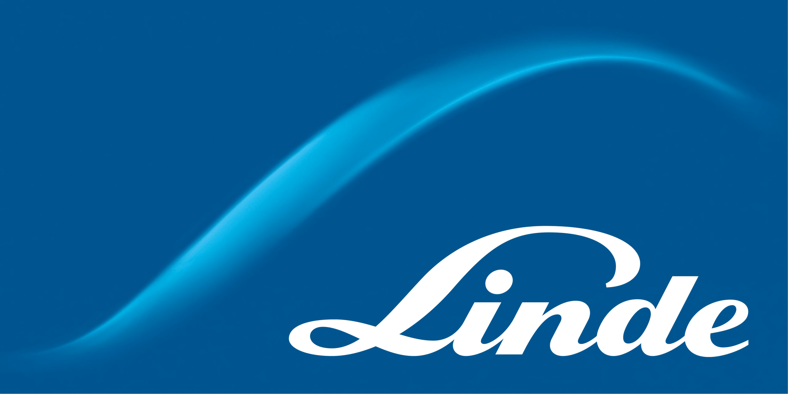 LIN logo