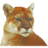 PBYI logo